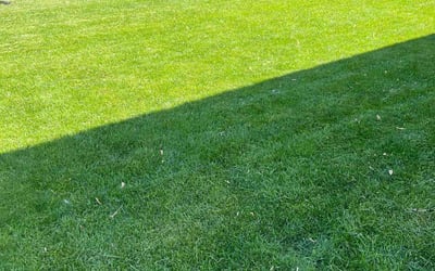 Photo of Julinda T.'s yard after getting lawn care in Hanover Park, IL