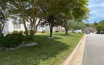 Photo of Lakesia M.'s yard after getting lawn care in Bridgewater, MA