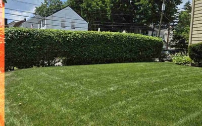 Photo of John S.'s yard after getting lawn care in Scranton, PA