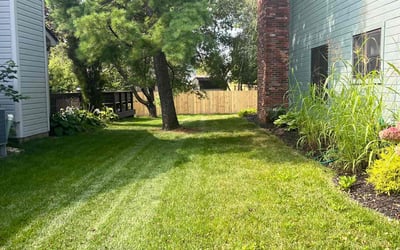 Photo of Martha E.'s yard after getting lawn care in Lebanon, IN