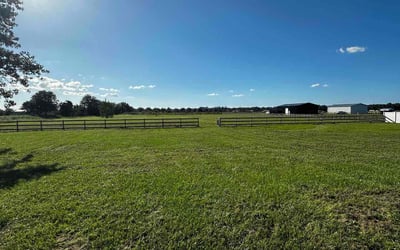 Photo of Diana L.'s yard after getting lawn care in Fleming Island, FL