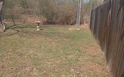 Photo of Suzanne S.'s yard after getting lawn care in Conway, AR