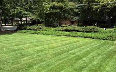 Photo of Annmarie S.'s yard after getting lawn care in Franklin, TN