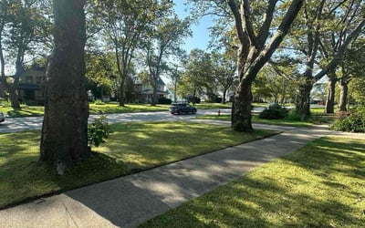 Photo of Sandra L.'s yard after getting lawn care in Broadview Heights, OH