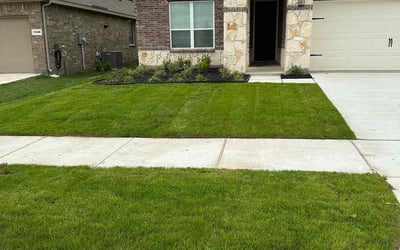Photo of Rebecca F.'s yard after getting lawn care in Brooksville, FL