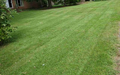 Photo of Keri H.'s yard after getting lawn care in Dallas, NC