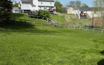 Photo of Ryan C.'s yard after getting lawn care in Independence, KY