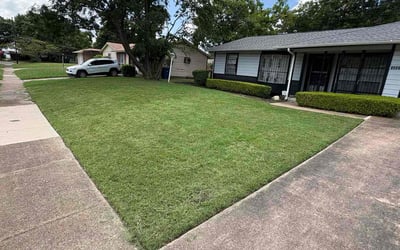 Photo of Laura M.'s yard after getting lawn care in Cordova, TN