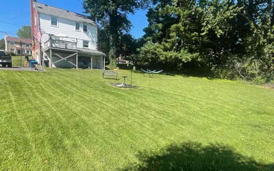 Photo of Eric L.'s yard after getting lawn care in Jenkintown, PA