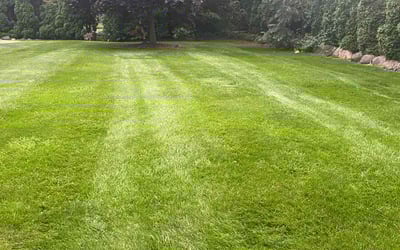 Photo of Christine S.'s yard after getting lawn care in Sussex, WI