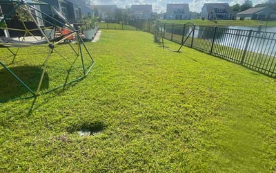 Photo of Julia S.'s yard after getting lawn care in Glastonbury, CT