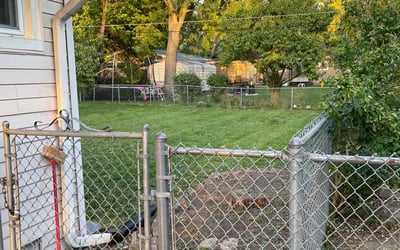 Photo of Rivka F.'s yard after getting lawn care in West Chicago, IL