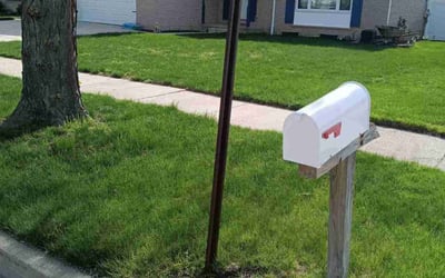 Photo of Tabitha B.'s yard after getting lawn care in Lebanon, PA