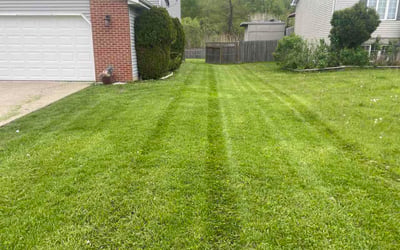 Photo of Shanqurium R.'s yard after getting lawn care in Utica, NY
