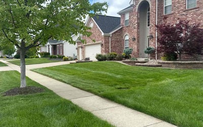 Photo of Vincent N.'s yard after getting lawn care in Summerville, SC