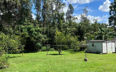 Photo of Kenji W.'s yard after getting lawn care in East Hampton, NY