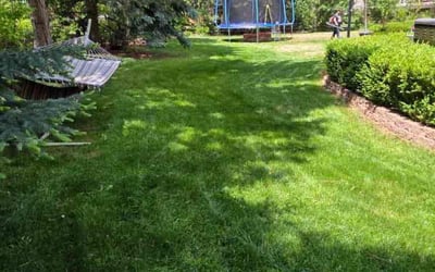 Photo of Vince O.'s yard after getting lawn care in Rehoboth Beach, DE