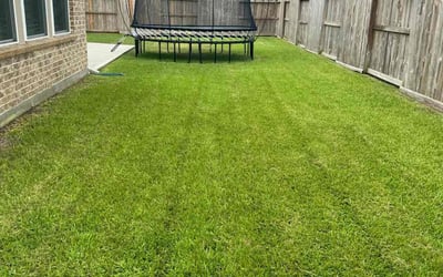 Photo of Christopher S.'s yard after getting lawn care in Newtown, CT