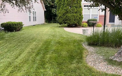 Photo of Whitney D.'s yard after getting lawn care in Lenoir City, TN