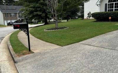 Photo of Carolyn P.'s yard after getting lawn care in Hiram, GA