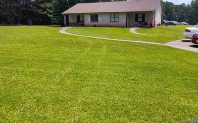 Photo of Bonnie S.'s yard after getting lawn care in Portsmouth, VA