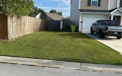 Photo of Alicia C.'s yard after getting lawn care in New Bern, NC