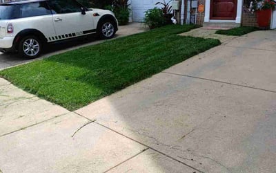 Photo of Zettia G.'s yard after getting lawn care in Conroe, TX