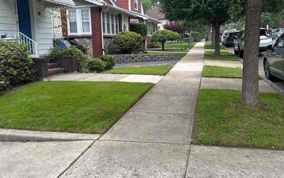Photo of Justin N.'s yard after getting lawn care in Colonia, NJ