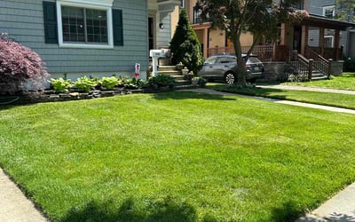 Photo of Adrian W.'s yard after getting lawn care in Lebanon, OH