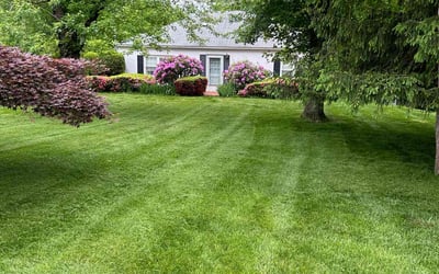 Photo of Nilaja S.'s yard after getting lawn care in Allentown, PA