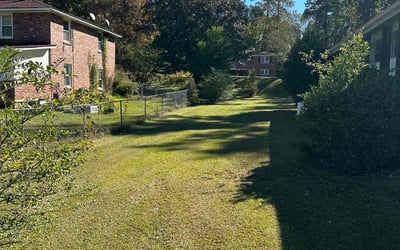 Photo of Chris Y.'s yard after getting lawn care in Farmington, MI