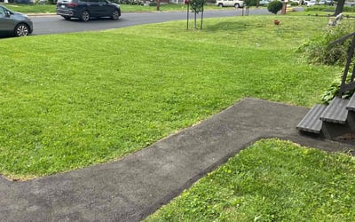 Photo of Tricia M.'s yard after getting lawn care in Denville, NJ