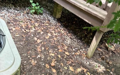 Photo of John G.'s yard after getting tree care in China Grove, NC