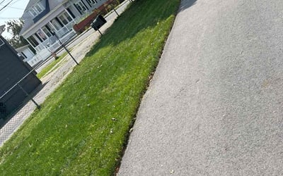 Photo of Cathy S.'s yard after getting lawn care in Providence, RI
