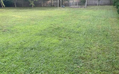 Photo of Dominique M.'s yard after getting lawn care in Winchester, MA