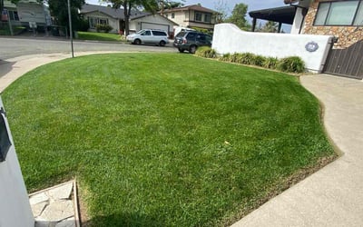 Photo of Cindi B.'s yard after getting lawn care in Shingle Springs, CA