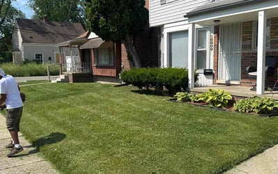 Photo of Edmon A.'s yard after getting lawn care in Logan, OH