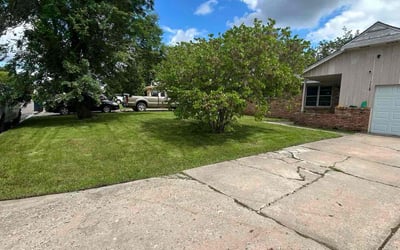 Photo of Derrick B.'s yard after getting lawn care in Girard, OH