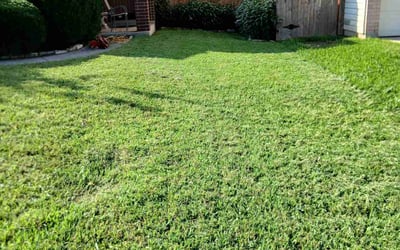 Photo of Pamelo G.'s yard after getting lawn care in Helotes, TX