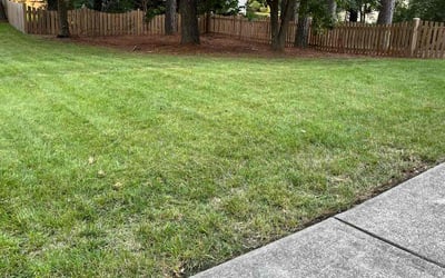 Photo of Kathy H.'s yard after getting lawn care in Saint Albans, WV