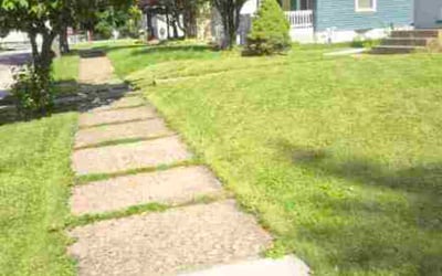 Photo of Matt H.'s yard after getting lawn care in Alexander, AR