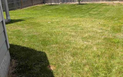 Photo of Nyemma G.'s yard after getting lawn care in Horn Lake, MS