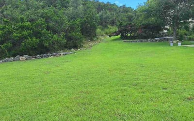 Photo of Christopher H.'s yard after getting lawn care in San Antonio, TX
