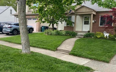 Photo of Kendal L.'s yard after getting lawn care in Alvin, TX