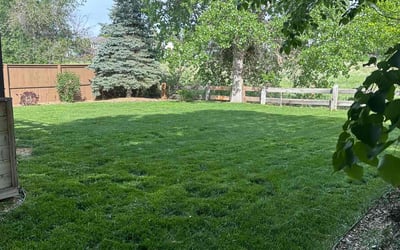 Photo of Americole S.'s yard after getting lawn care in Houston, TX