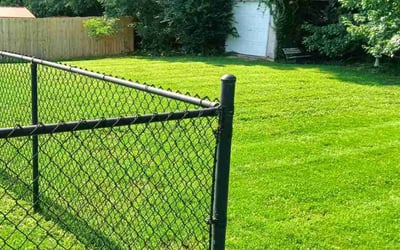 Photo of Marcel G.'s yard after getting lawn care in Harvest, AL