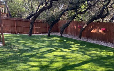 Photo of Coco L.'s yard after getting lawn care in Yorba Linda, CA