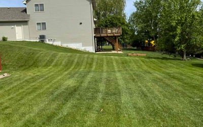 Photo of Audrey T.'s yard after getting lawn care in Chaska, MN