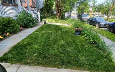 Photo of Ryan D.'s yard after getting lawn care in Harpers Ferry, WV