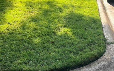 Photo of Debra H.'s yard after getting lawn care in Pittsfield, MA